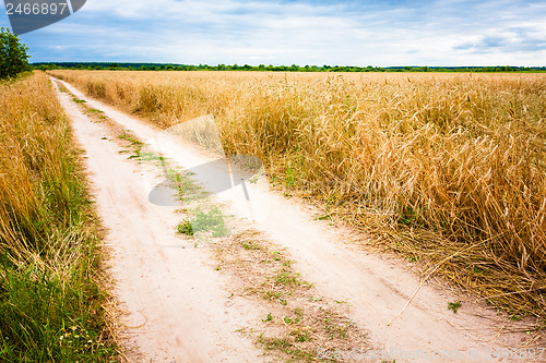 Image of Rural Countryside Road Through Fields With Wheat