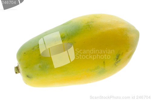 Image of Single whole papaya

