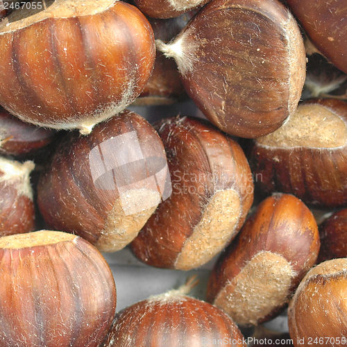 Image of Chestnuts