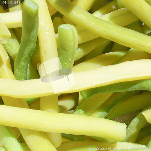 Image of Common bean