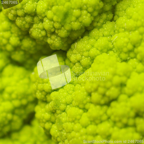 Image of Cauliflower