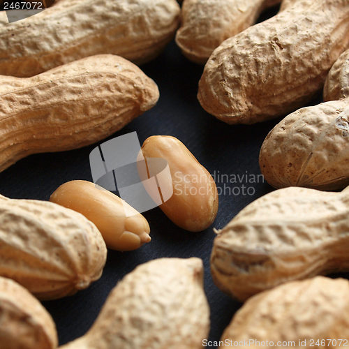 Image of Peanut picture