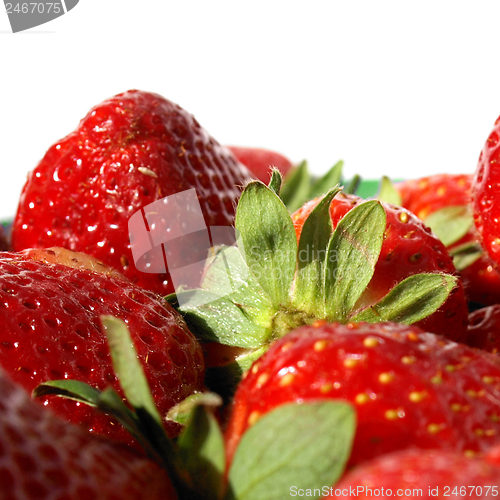 Image of Strawberry