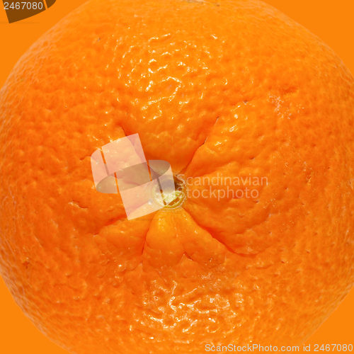 Image of Orange fruit