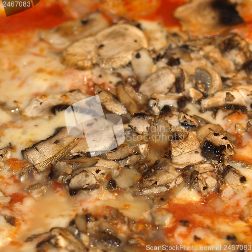 Image of Mushroom Pizza