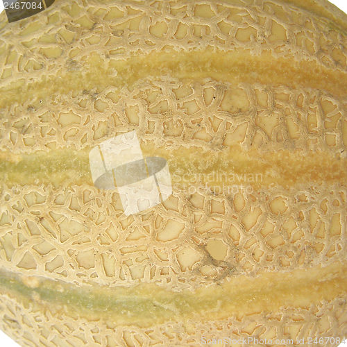 Image of Melon picture