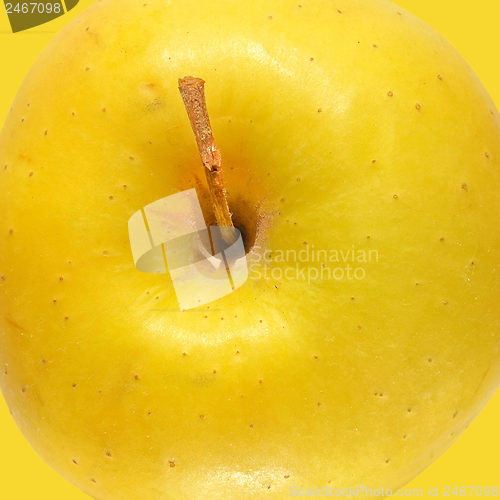 Image of Yellow Apple
