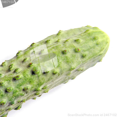 Image of Cucumber
