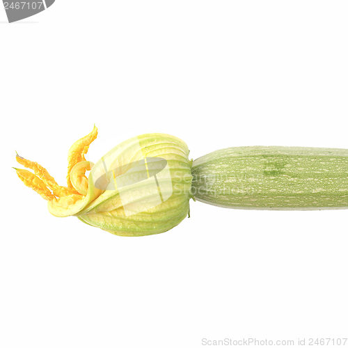 Image of Courgettes zucchini