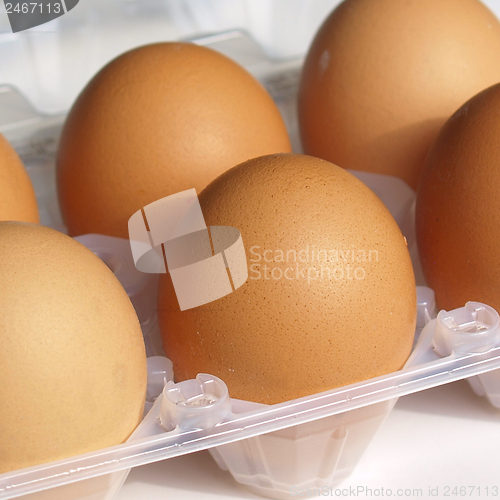 Image of Eggs picture