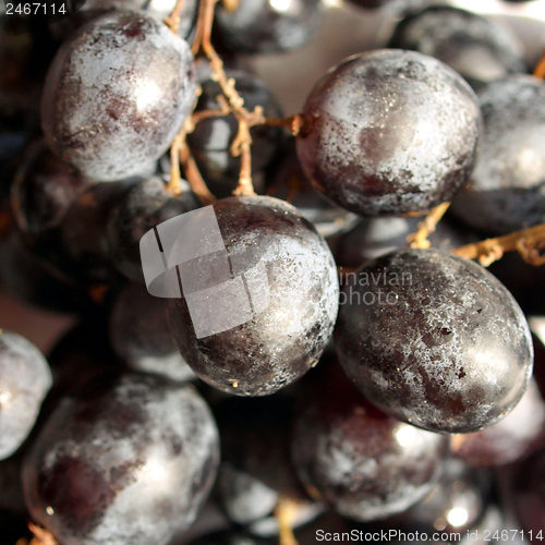 Image of Grape picture