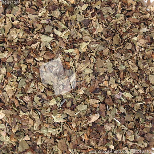 Image of Oregano spice