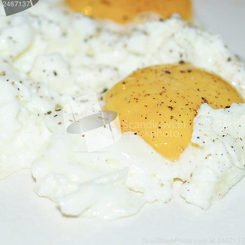 Image of Fried egg