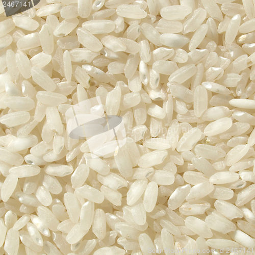 Image of Rice picture