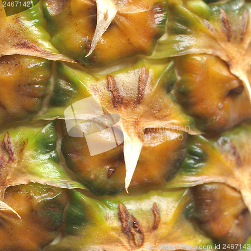Image of Pineapple picture