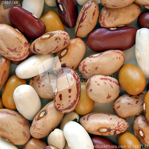 Image of Beans salad