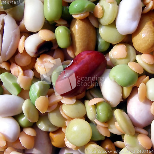 Image of Beans salad