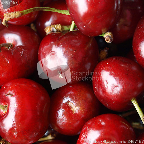 Image of Cherry