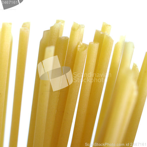 Image of Spaghetti