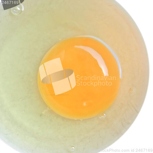 Image of Egg picture