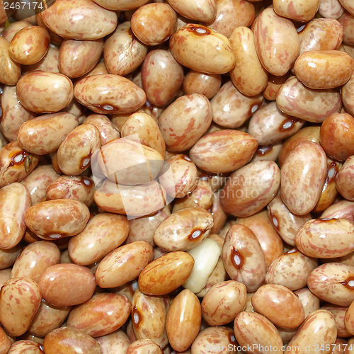 Image of Beans salad