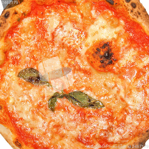 Image of Pizza Margherita