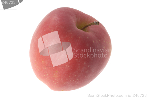 Image of Whole Japanese Mutsu apple

