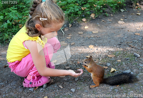 Image of little girl feeding squirrel with nuts