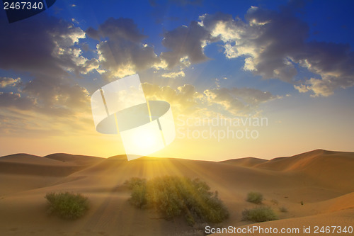 Image of sunrise in desert