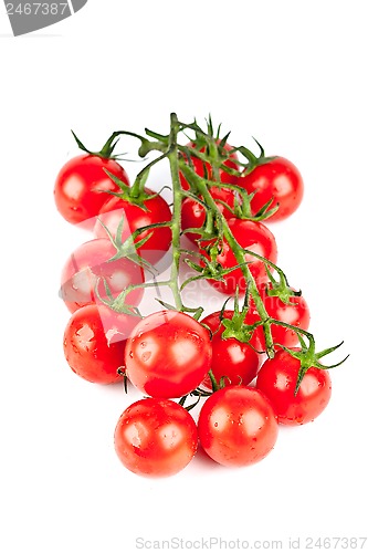 Image of fresh organic cherry tomatoes 