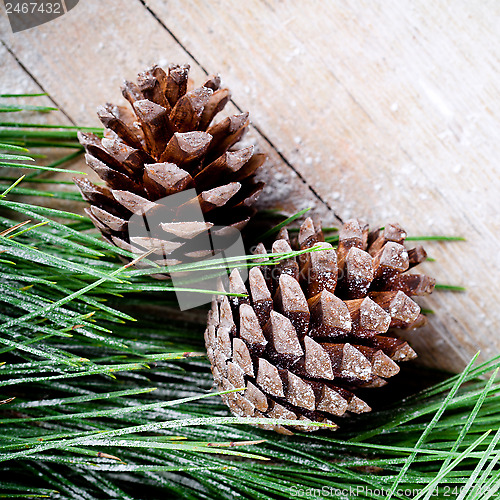 Image of christmas fir tree with pinecones