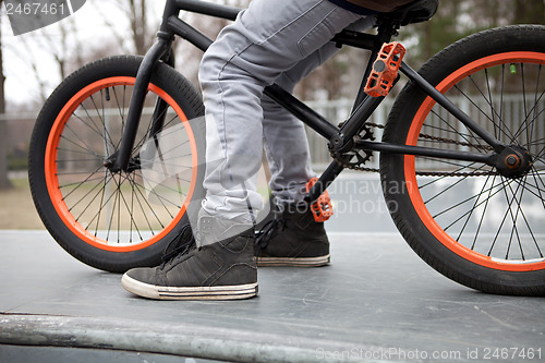 Image of BMX Bike Rider