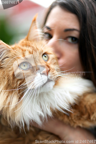 Image of Maine Coon Cat Owner