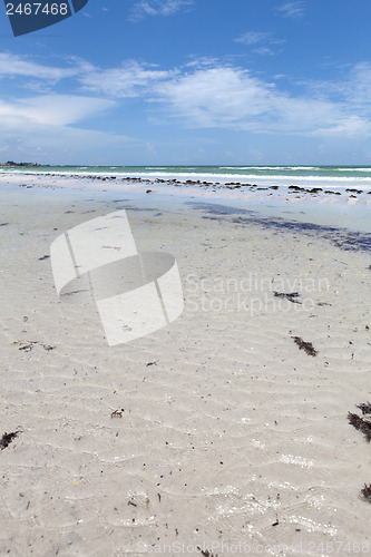 Image of Siesta Key Beach Sarasota Florida