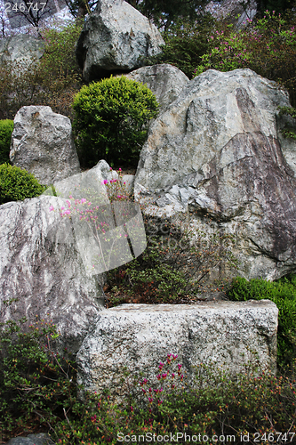 Image of Rock garden
