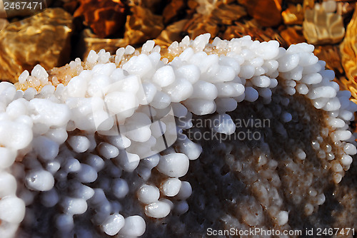 Image of Dead Sea salt crystals