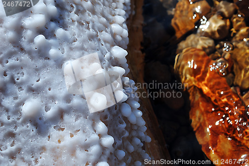 Image of Dead Sea salt crystals