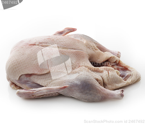 Image of Raw Whole Duck 