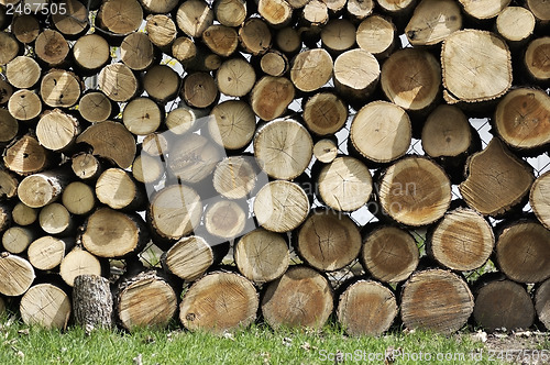 Image of Cut Wood Logs