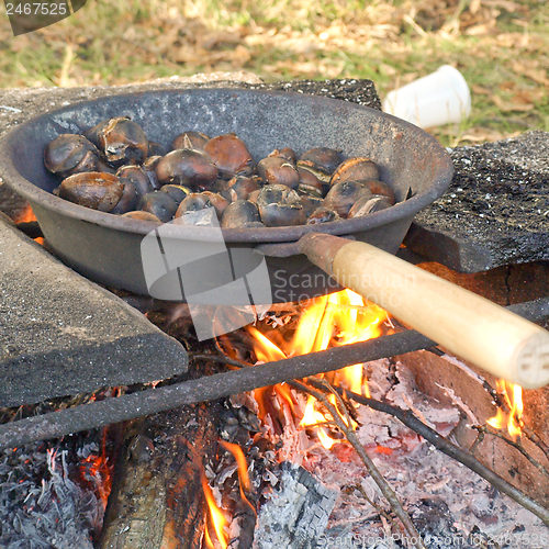 Image of Barbecue picture