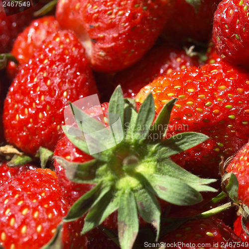 Image of Strawberries