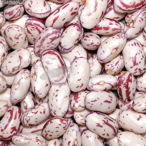 Image of Beans salad