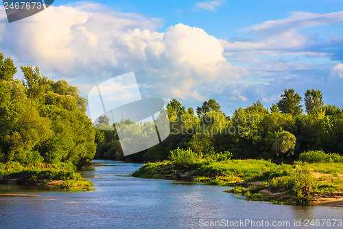 Image of View Of A River And The Forest