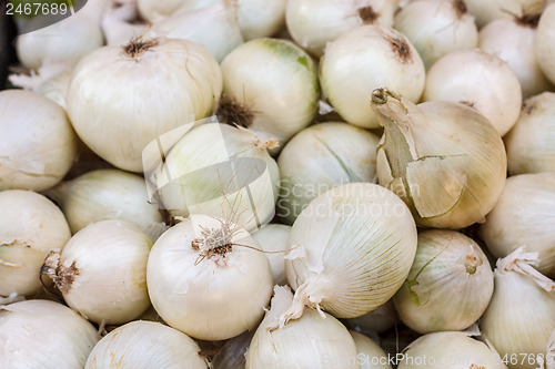 Image of White onions crop. Background