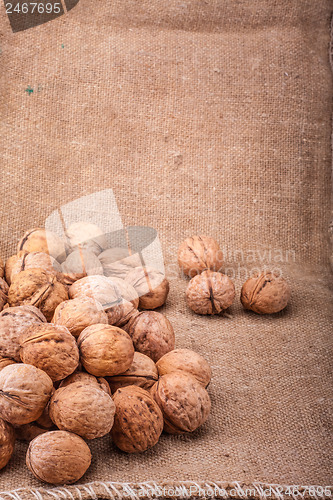 Image of Walnuts Close-up On The Sackcloth Background 