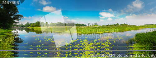 Image of View On The Bog. Grass And Water.