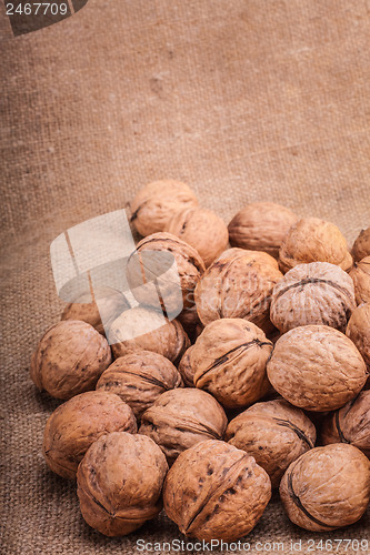 Image of Walnuts Close-up On The Sackcloth Background 