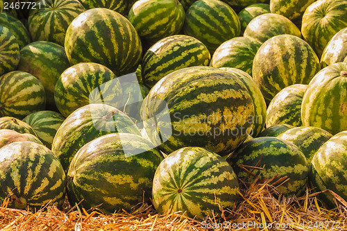 Image of Watermelons were piled up