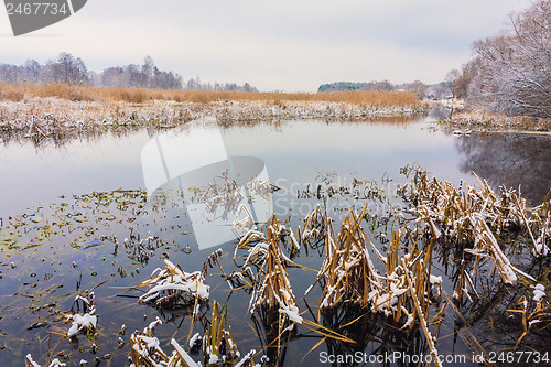 Image of View On The Bog. Grass And Water.