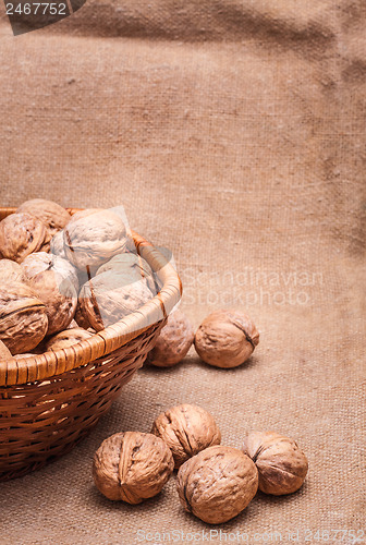 Image of Walnuts Close-up On The Sackcloth Background 
